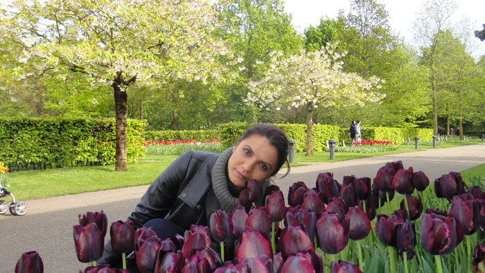 DSC00546 - Keukenhof 2012