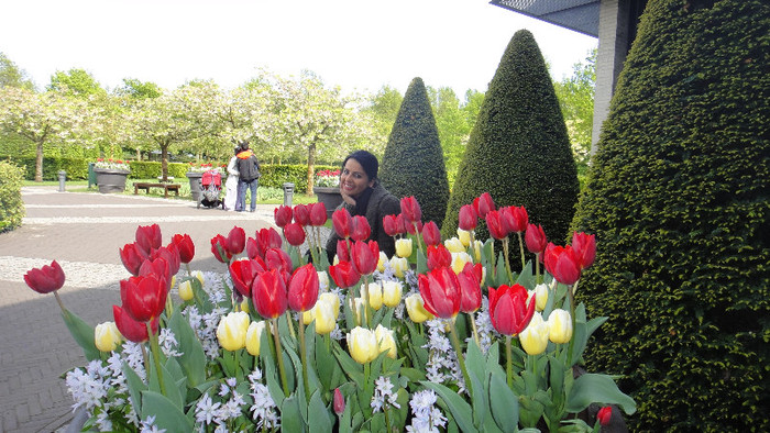 DSC00547 - Keukenhof 2012