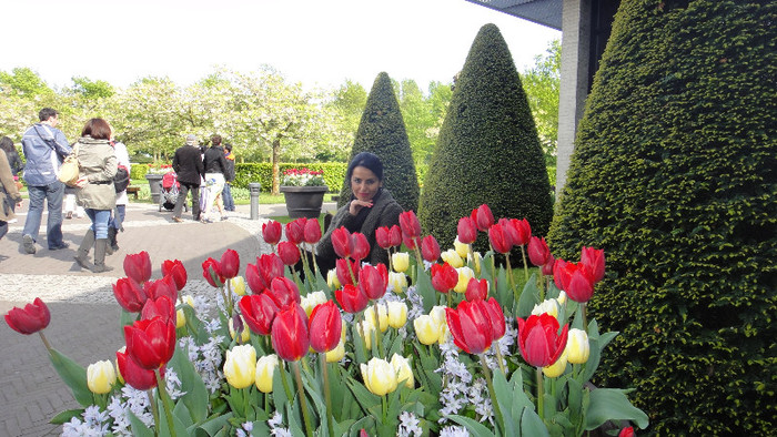 DSC00549 - Keukenhof 2012