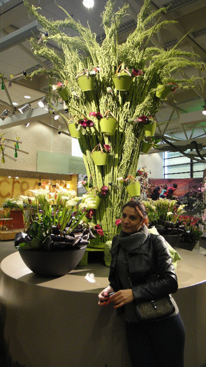 DSC00563 - Keukenhof 2012