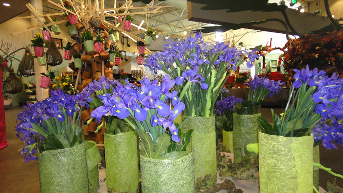 DSC00564 - Keukenhof 2012