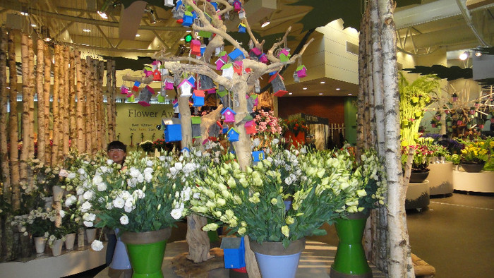 DSC00589 - Keukenhof 2012
