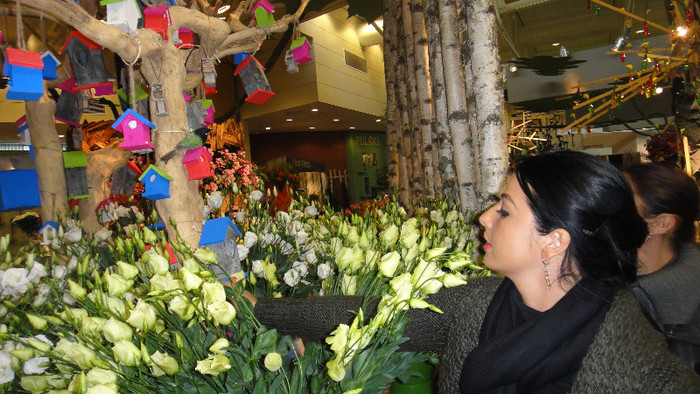 DSC00590 - Keukenhof 2012