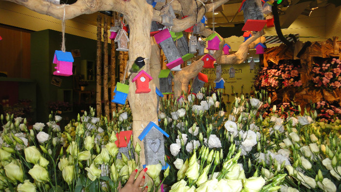 DSC00591 - Keukenhof 2012