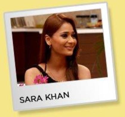 536061_309258752498396_731935777_n - sara khan10