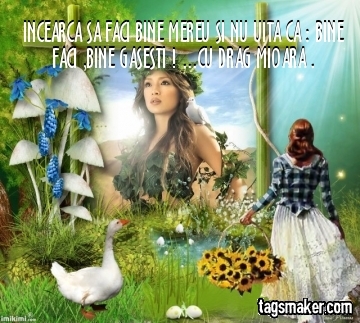  - VIATA IUBIRE SI PRIETENIE  1