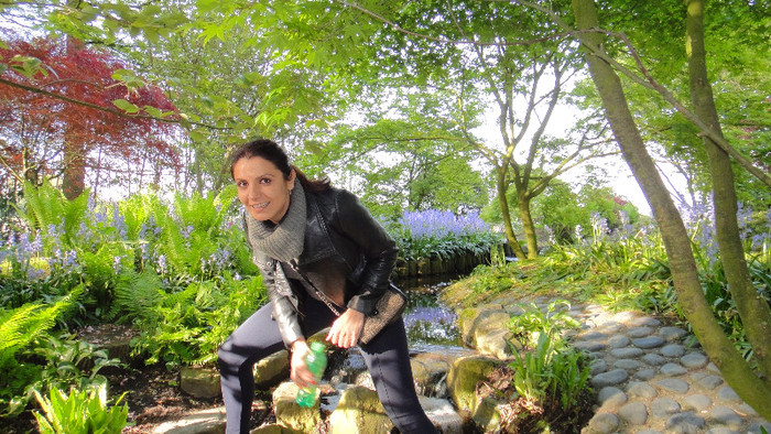 DSC00778 - Keukenhof 2012