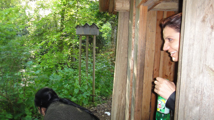 DSC00800 - Keukenhof 2012