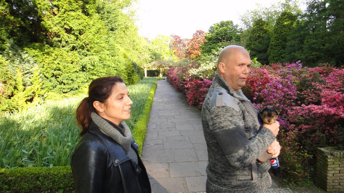 DSC00801 - Keukenhof 2012