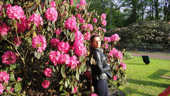 DSC00831 - Keukenhof 2012