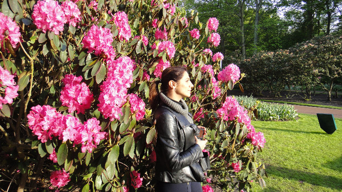 DSC00832 - Keukenhof 2012