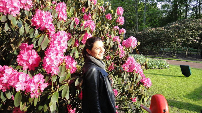 DSC00833 - Keukenhof 2012