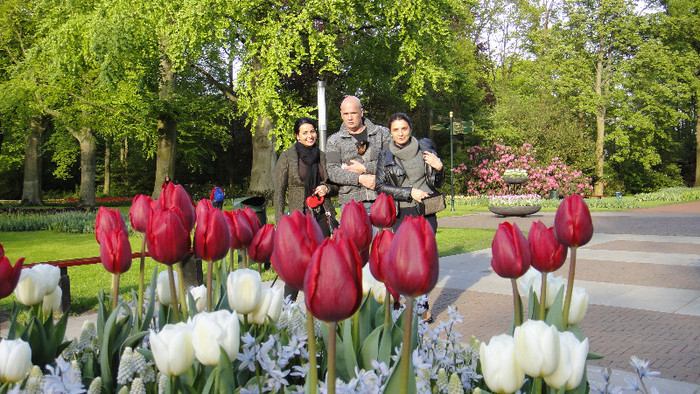 DSC00837 - Keukenhof 2012