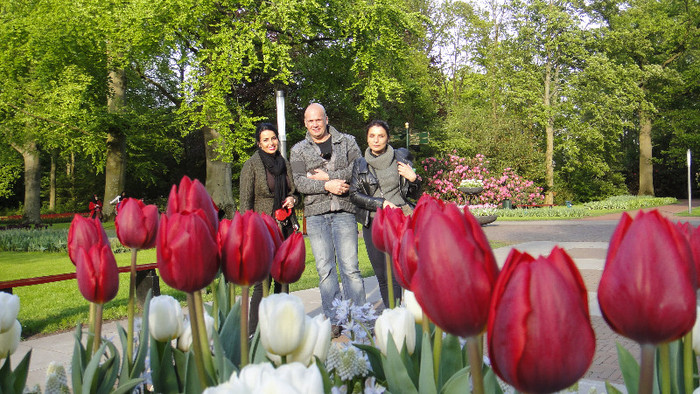 DSC00838 - Keukenhof 2012