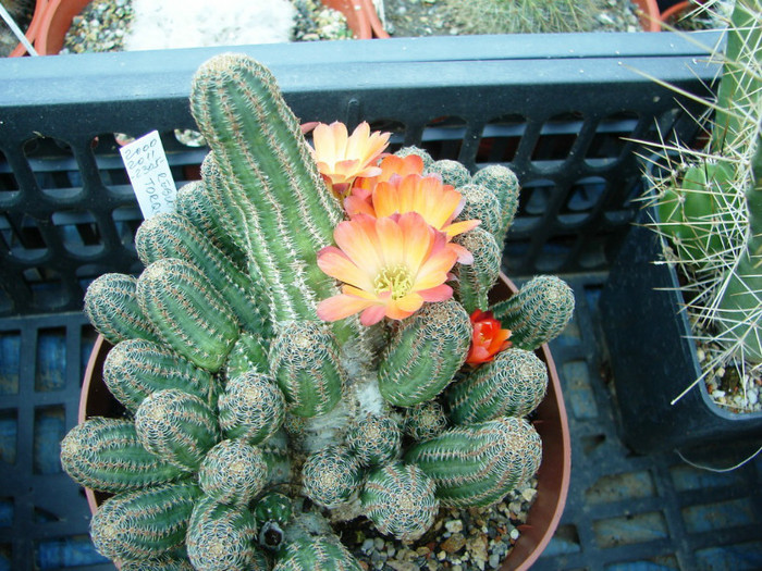 DSC00088