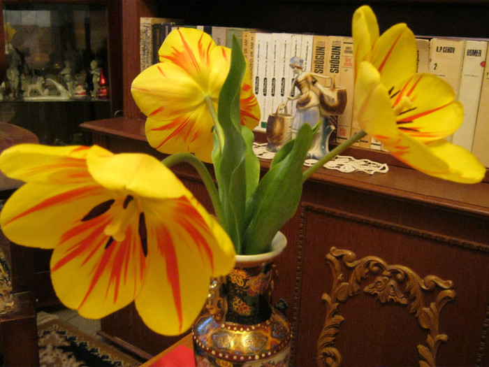 IMG_2776 - FLORI IN GLASTRA