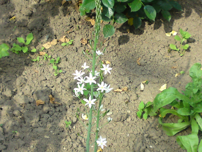 DSC00919