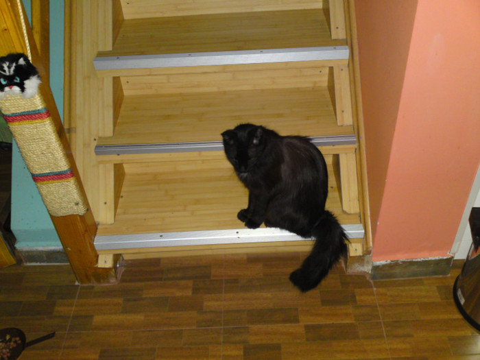 DSC00944 - ILINCA