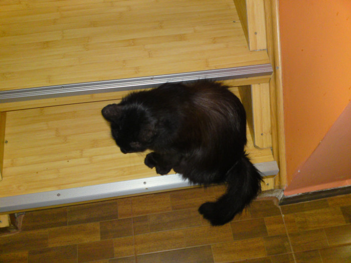 DSC00945 - ILINCA