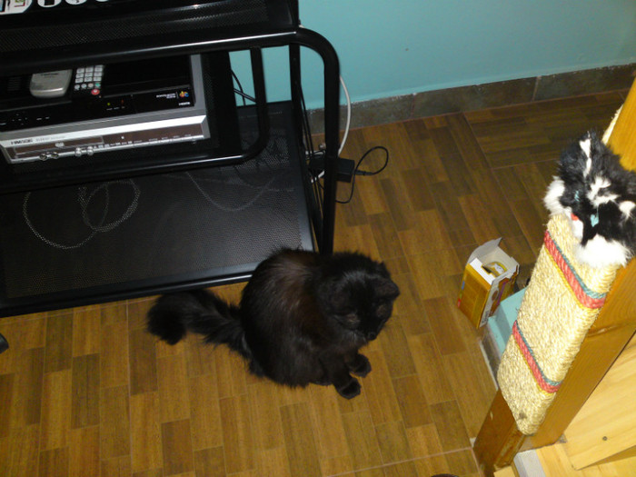 DSC00946 - ILINCA