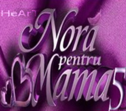 npmfoto2