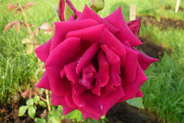 094
