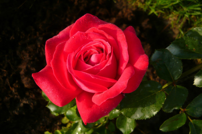 099