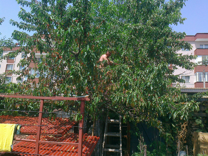 Fotografie0564 - RELAXAREA DUPA  ALEGERILE 2012