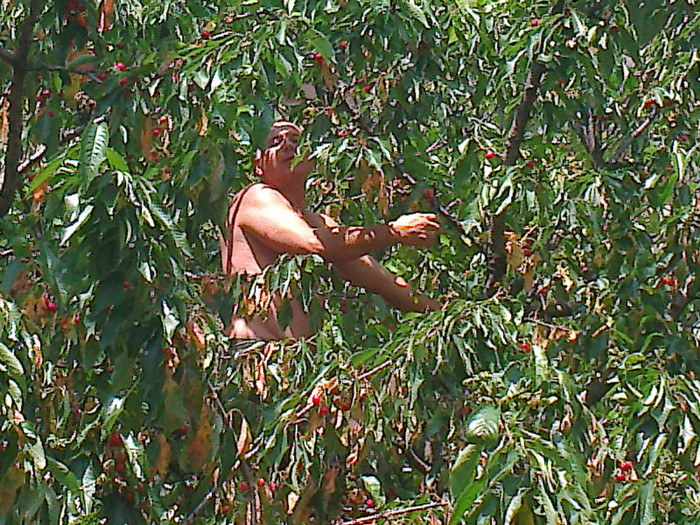 Fotografie0565 - RELAXAREA DUPA  ALEGERILE 2012