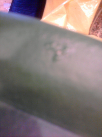 O fi un virus - Ultimele achizitii