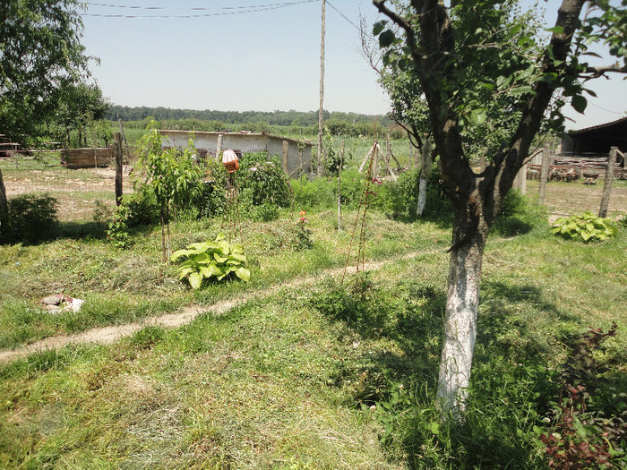 DSC05135