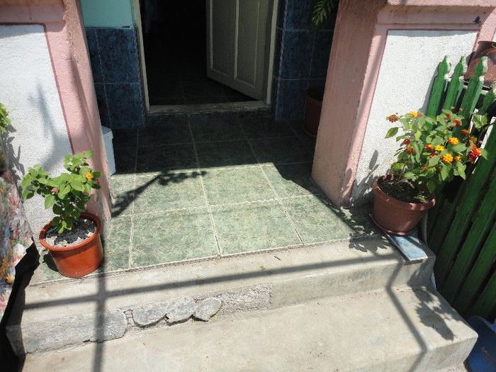 DSC05139 - Gradina  2012