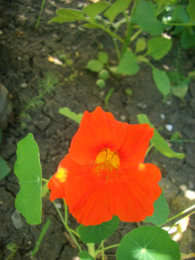 CIMG5653