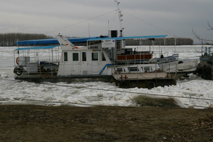 dunare iarna10