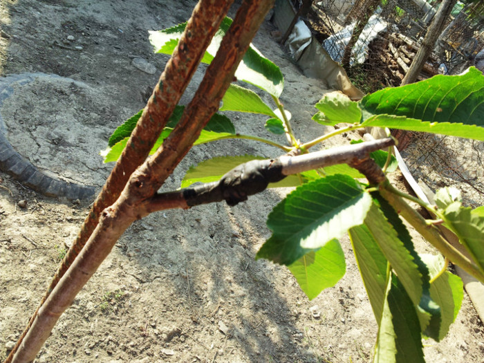 2012-06-09 18.14.13 dan