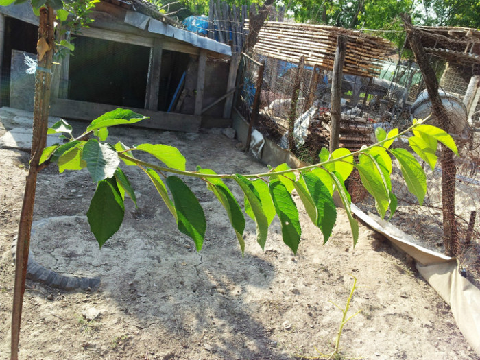 2012-06-09 18.14.24 dan