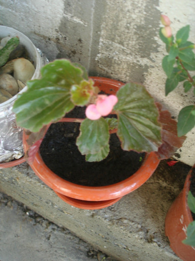 DSC06210; ghetisoara
