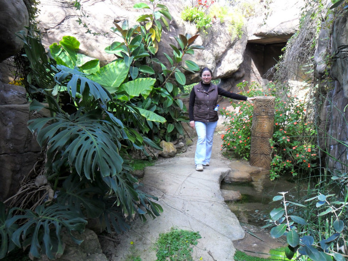 grota - Cunoasteti-ne