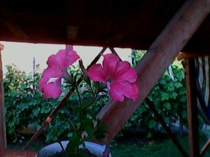 IMG0064A