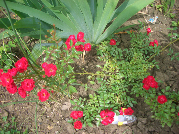 CIMG5686