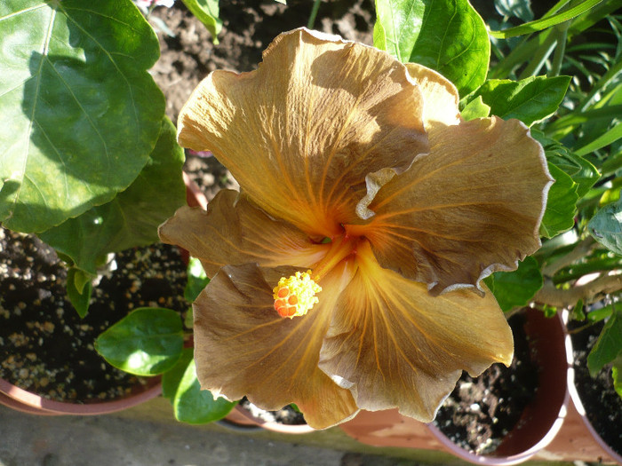 P1140597