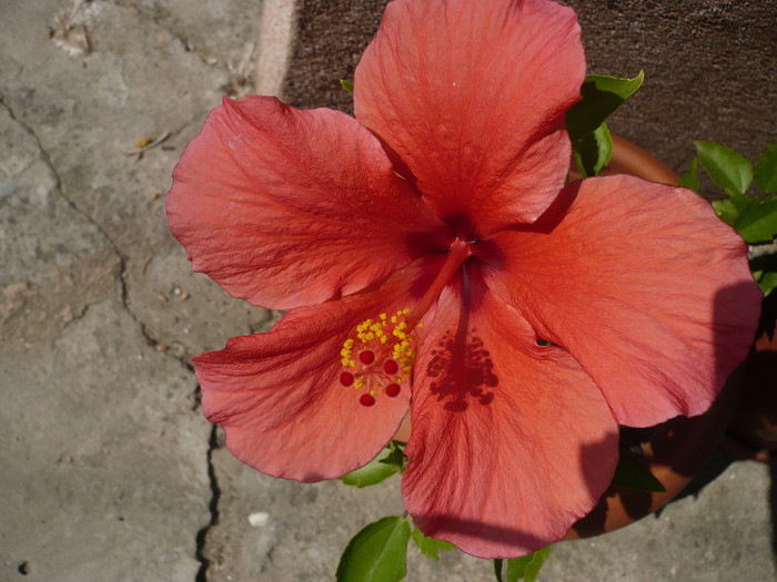 P1140601