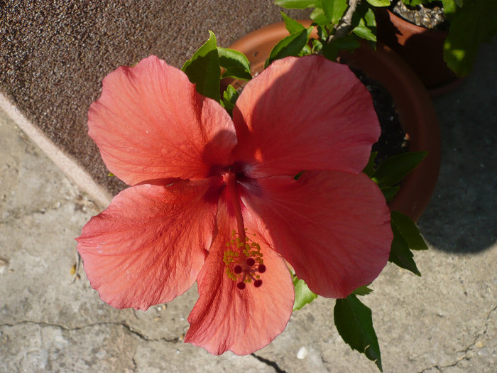 P1140602