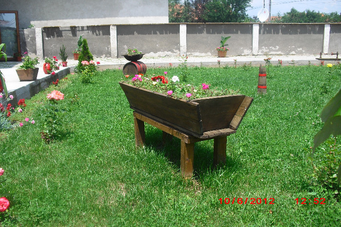 CIMG9727 - florile surorii mele oty