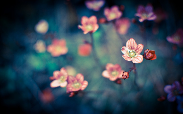 BestHDWallpapersPack599_93