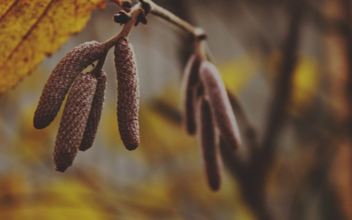 BestHDWallpapersPack600_75 - Desktop New 2013