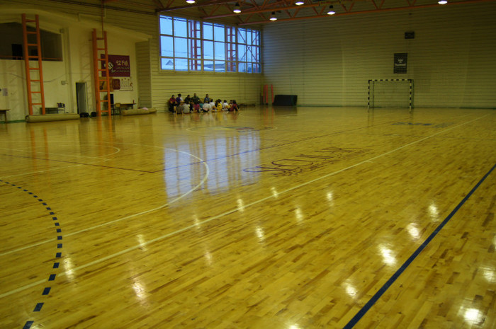 DSC02069 - Liceul sportiv Bistrita