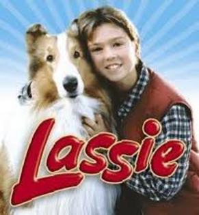 Lassie - Lassie 1997-1999