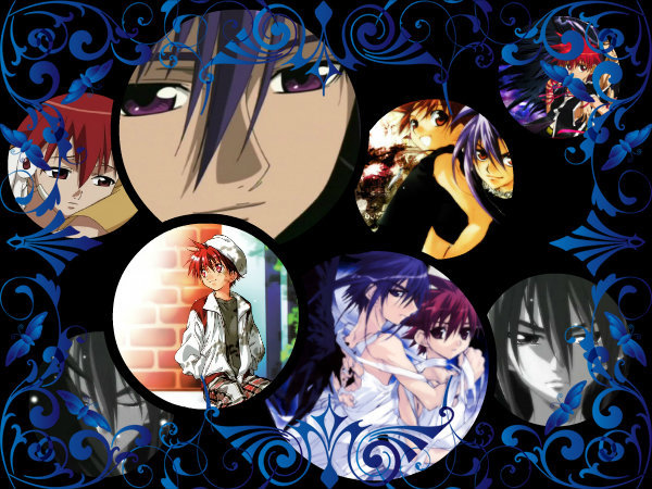 dark and daisuke