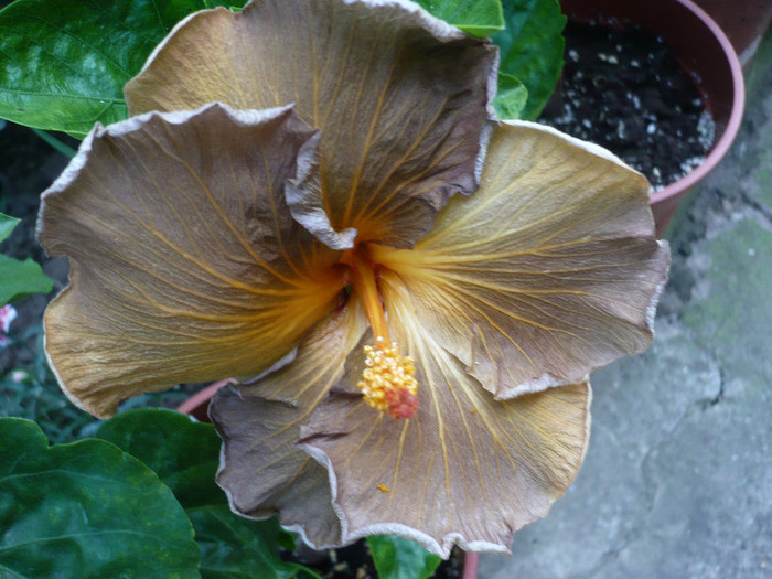 P1140620